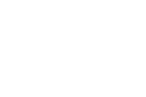 Ladies Who Launch logo