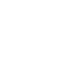 Double Verify logo